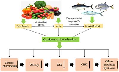 Frontiers Polyphenols and 3 PUFAs Beneficial Outcomes to